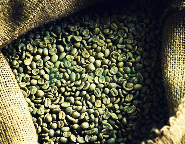 สารสกัดจากกาแฟสด (Green Bean Coffee) - รับผลิตอาหารเสริม